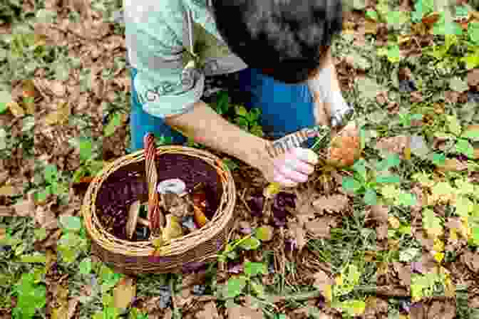 A Person Foraging For Wild Edibles In The Forest. Backpacker The Survival Hacker S Handbook: How To Survive With Just About Anything
