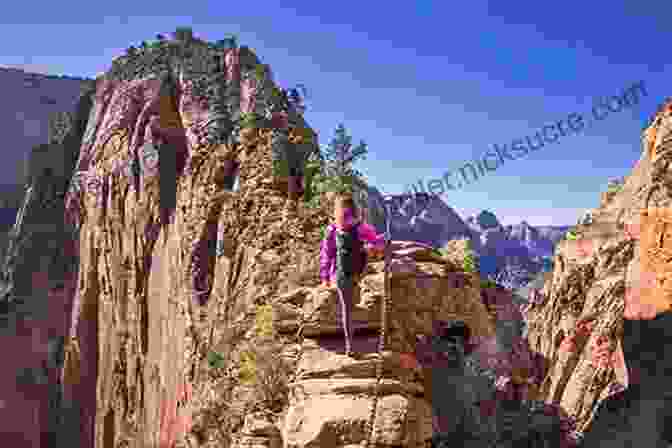 Hikers Carefully Navigating The Narrow Ridge Of Angel's Landing In Zion National Park Hiking Ozarks: A Guide To The Area S Greatest Hiking Adventures (Regional Hiking Series)