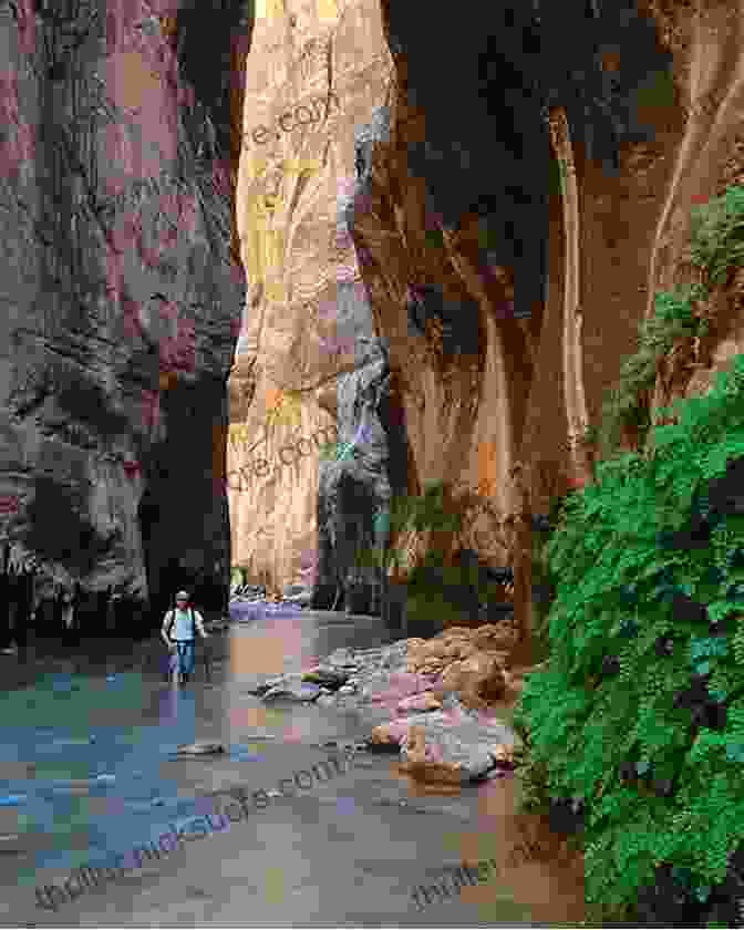 Hikers Navigating The Narrow And Stunning Passageways Of The Narrows In Zion National Park Hiking Ozarks: A Guide To The Area S Greatest Hiking Adventures (Regional Hiking Series)