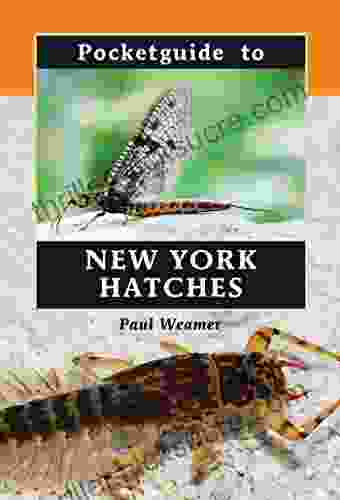 Pocketguide To New York Hatches
