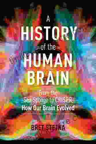 A History Of The Human Brain: From The Sea Sponge To CRISPR How Our Brain Evolved