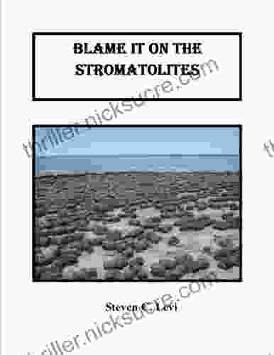 Blame It On The Stromatolites : Real World Creative Thinking For Young Adults (Off The Wall Thinking 7)