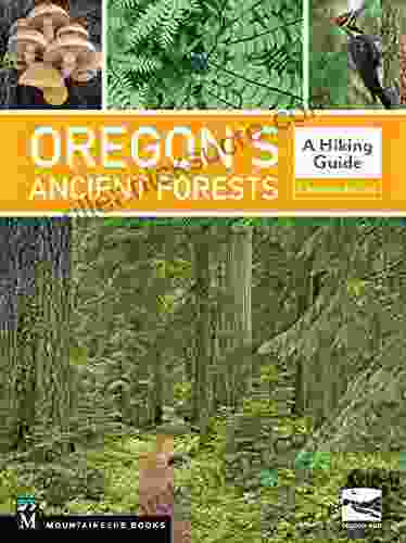 Oregon S Ancient Forests: A Hiking Guide